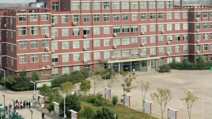 微信截图_20241108201624