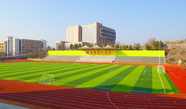 微信截图_20241108201624