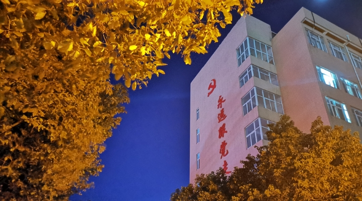 微信截图_20241108201624