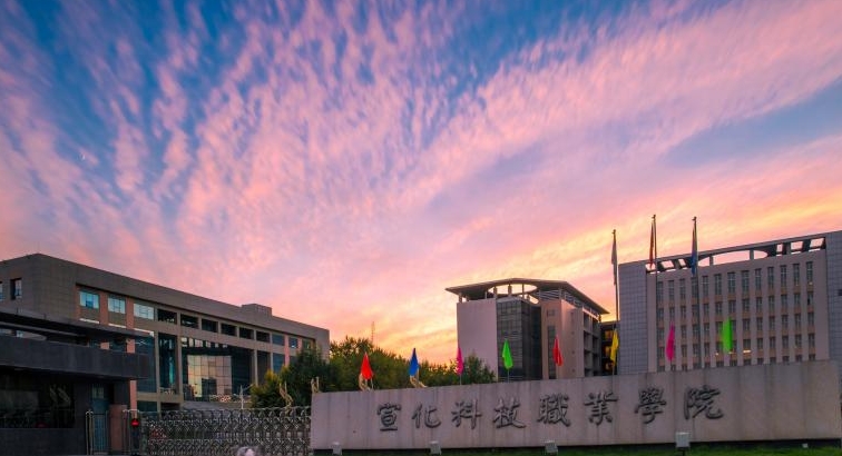 微信截图_20241108201624