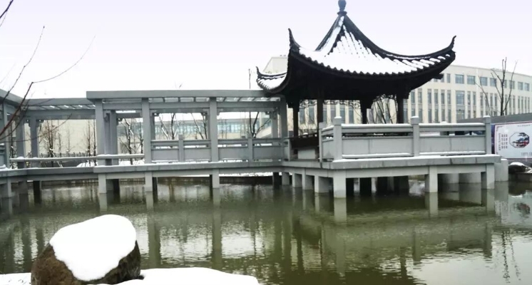 微信截图_20241108201624