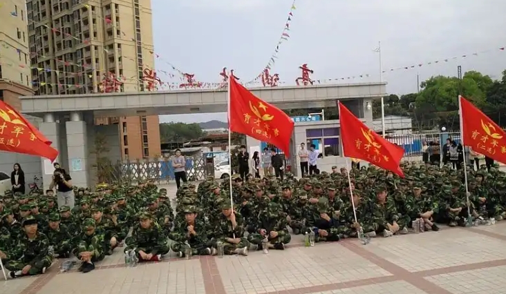 微信截图_20241108201624