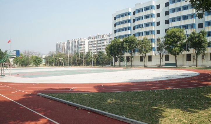 微信截图_20241108201624