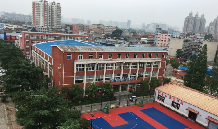 微信截图_20241108201624