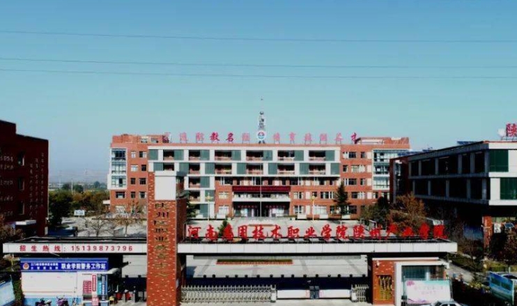 微信截图_20241108201624