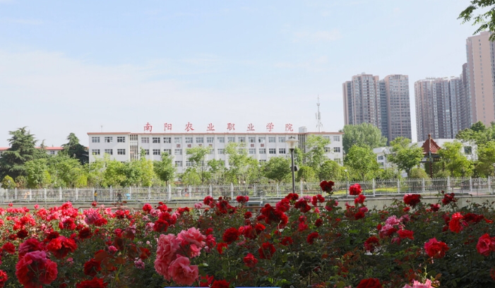 证书 (1)