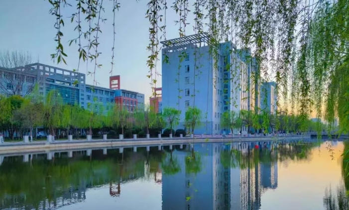 证书 (1)