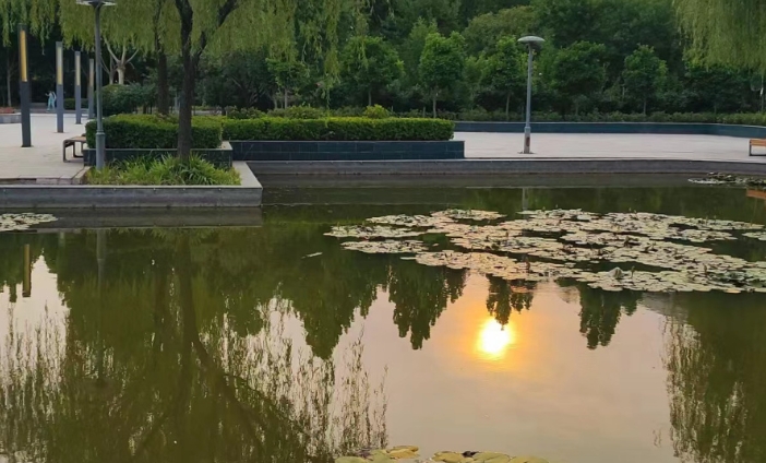 微信截图_20250515094917