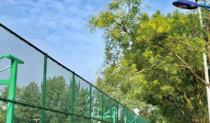 微信截图_20250610141035