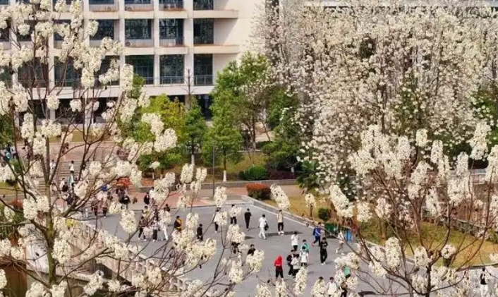 微信截图_20250618093228