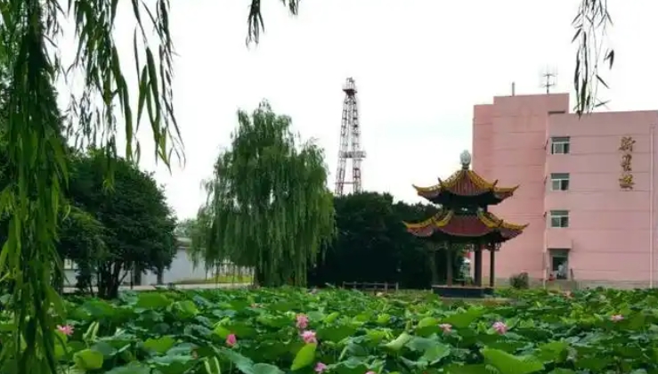 微信截图_20250620155331