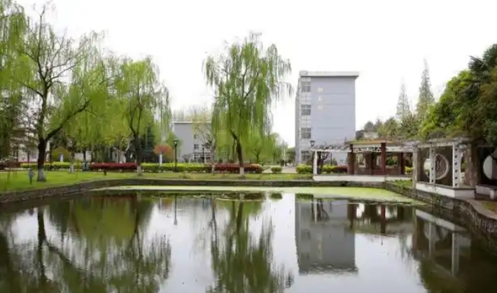微信截图_20250620155331
