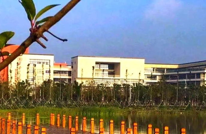 微信截图_20250620155331