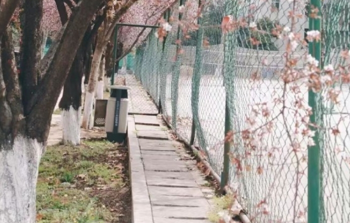 微信截图_20250623095235