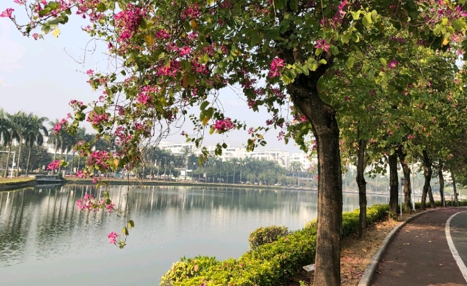 微信截图_20250707092749