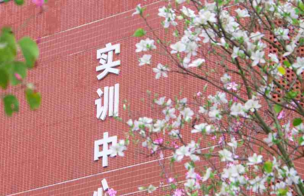 微信截图_20250707092749