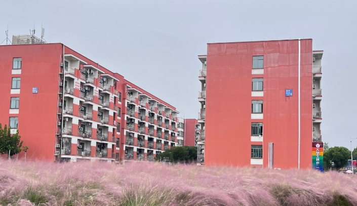 微信截图_20250707092749