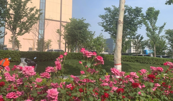 微信截图_20250722092304