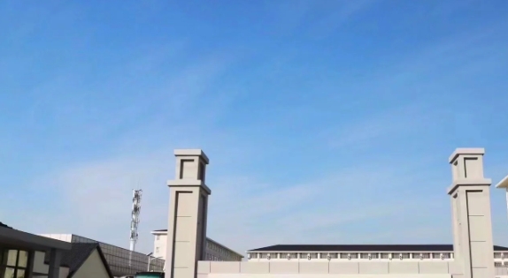 微信截图_20250723091755