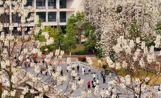 微信截图_20250724093420