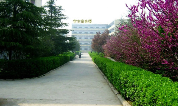 未标题-2