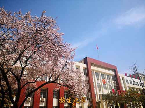 89b0bc94f7663ee96383d8f2dc43d910_700x525 89b0bc94f7663ee96383d8f2dc43d910_700x525